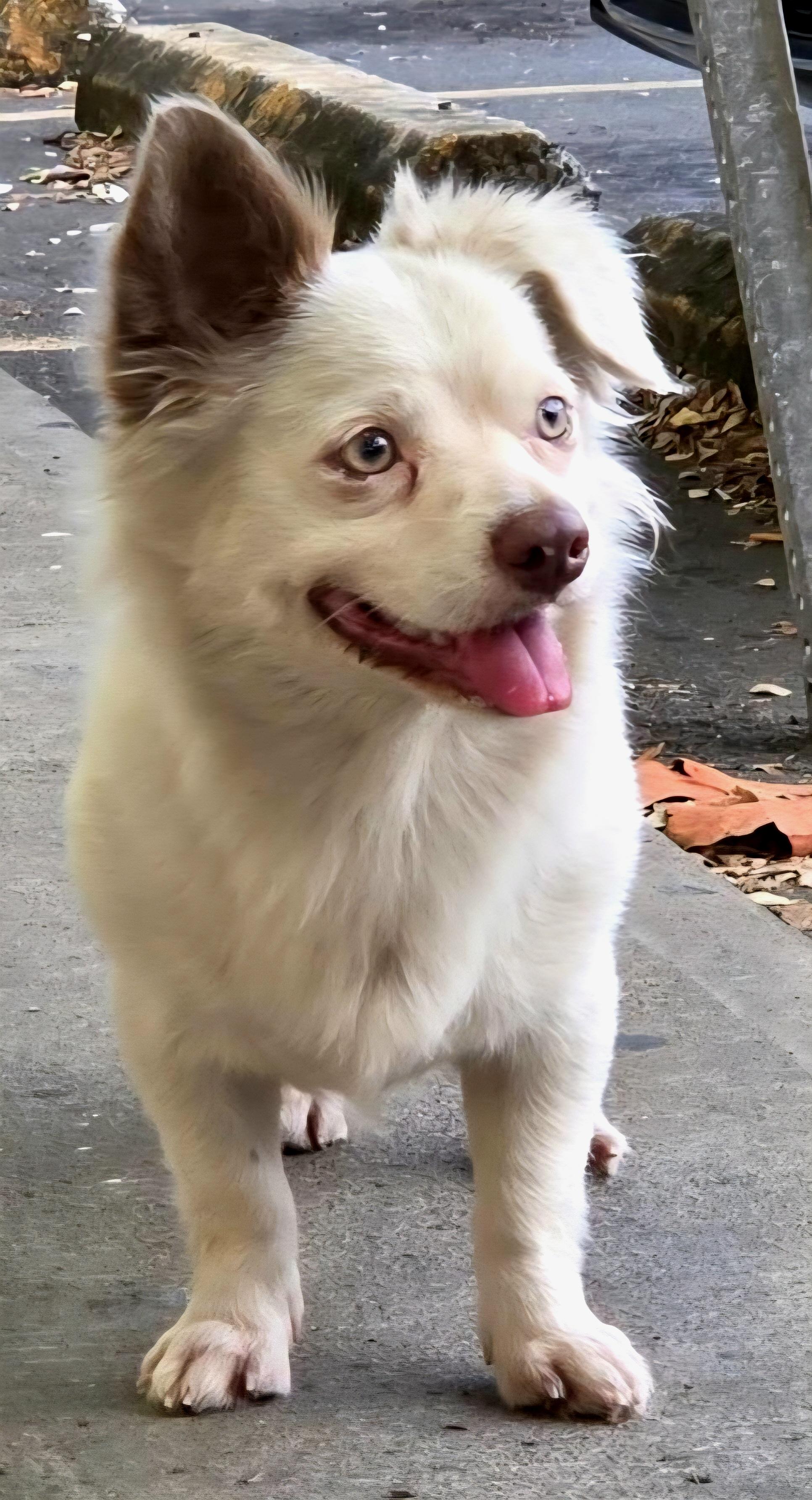 Geo "all  Loving thumbnail 5