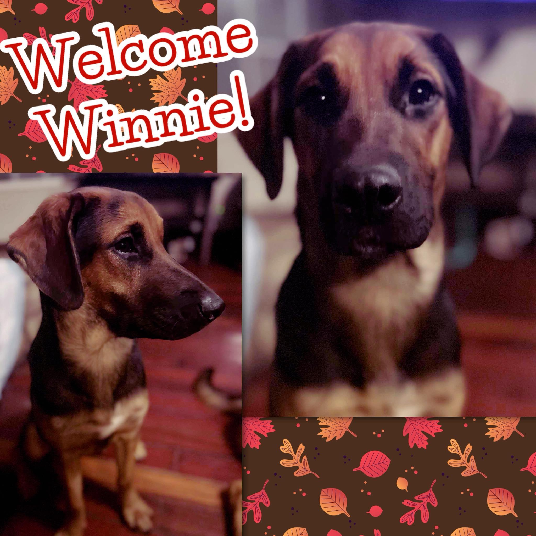Winnie