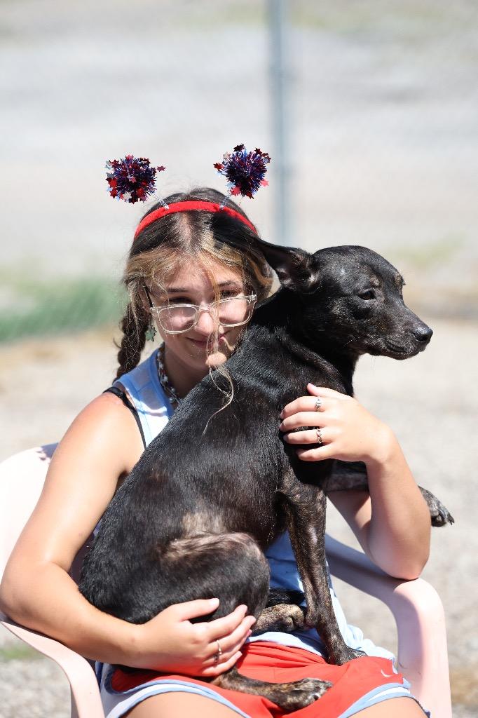 Enlarge Kandace, a Adoptable mixed breed in Dyersburg, TN image 4/6