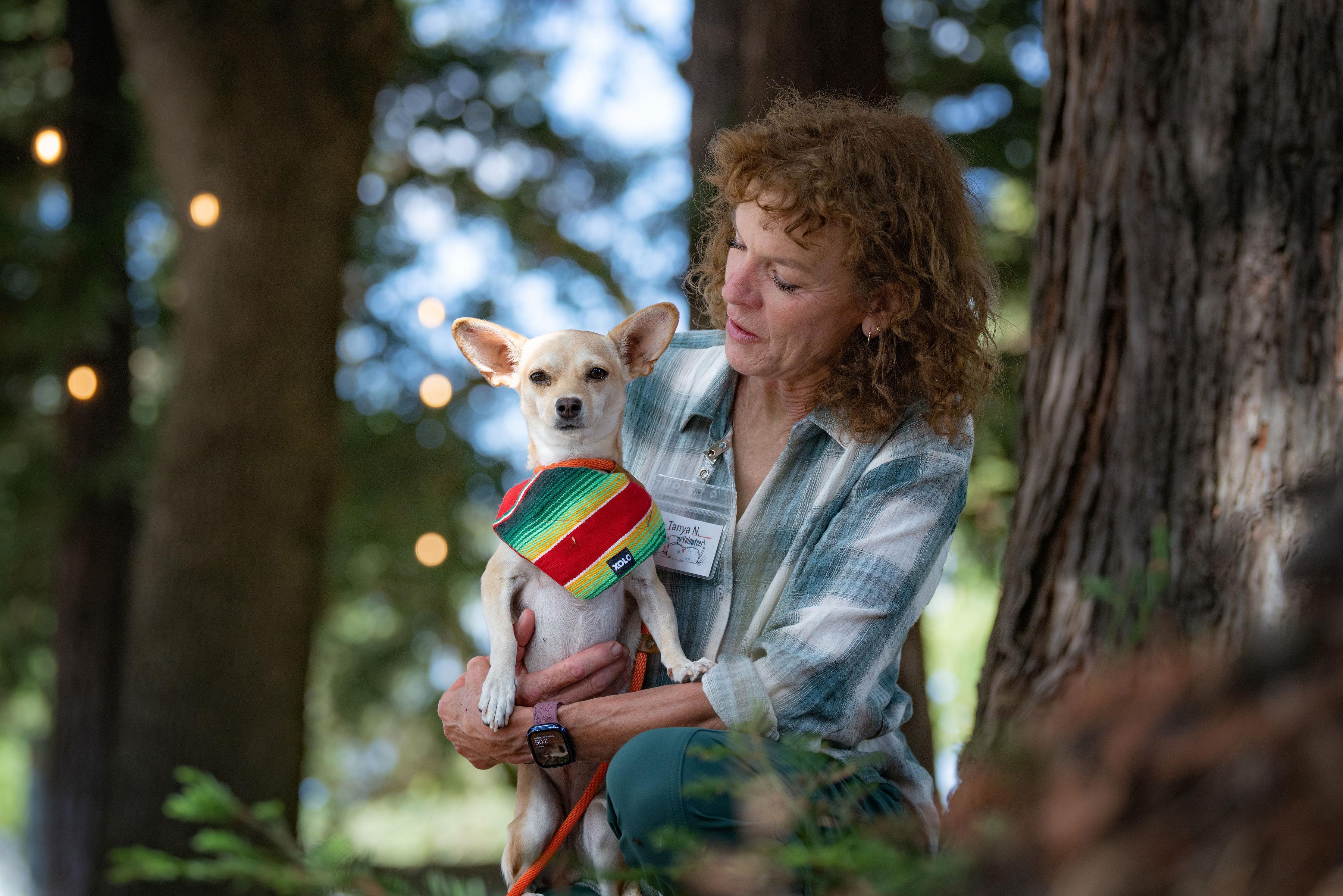 Enlarge Susan, a Adopted mixed breed in Santa Rosa, CA image 5/6