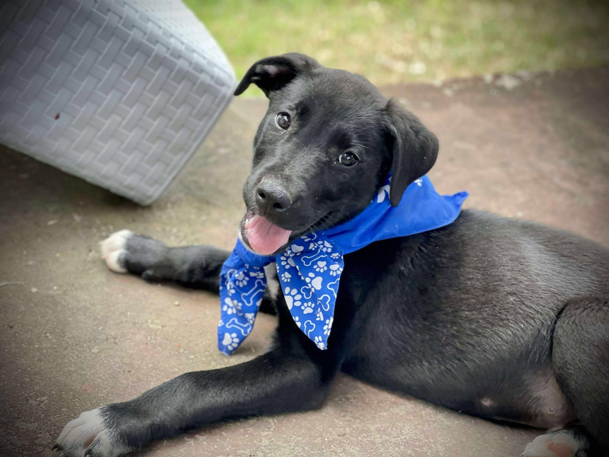 Jamie *HERE IN NH* 2