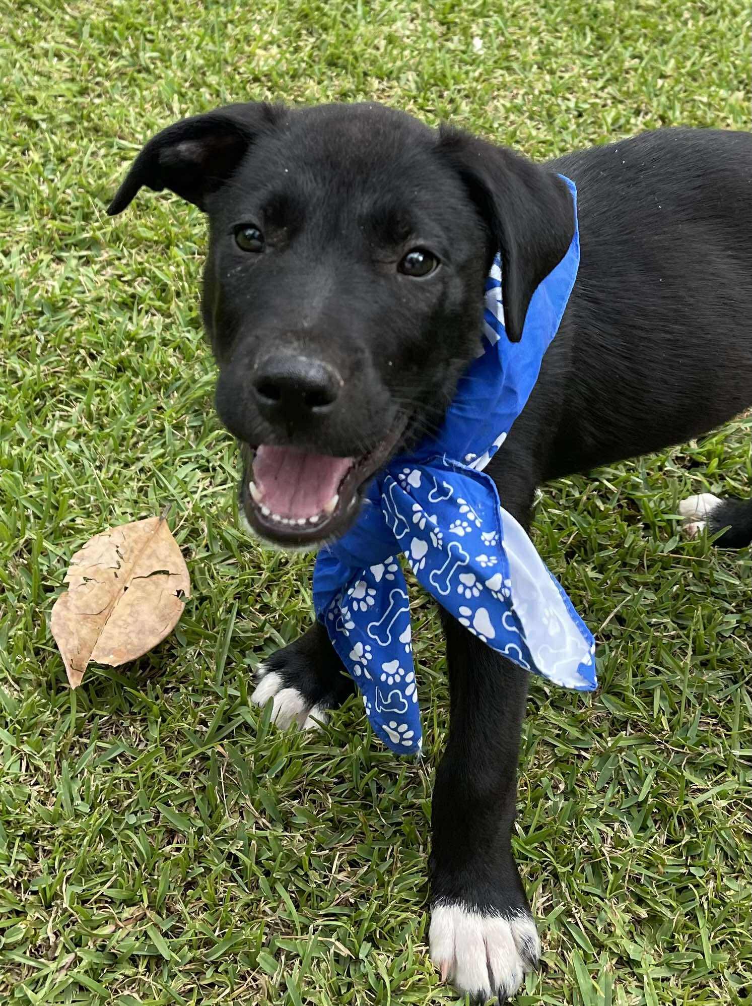 Jamie *HERE IN NH* 5