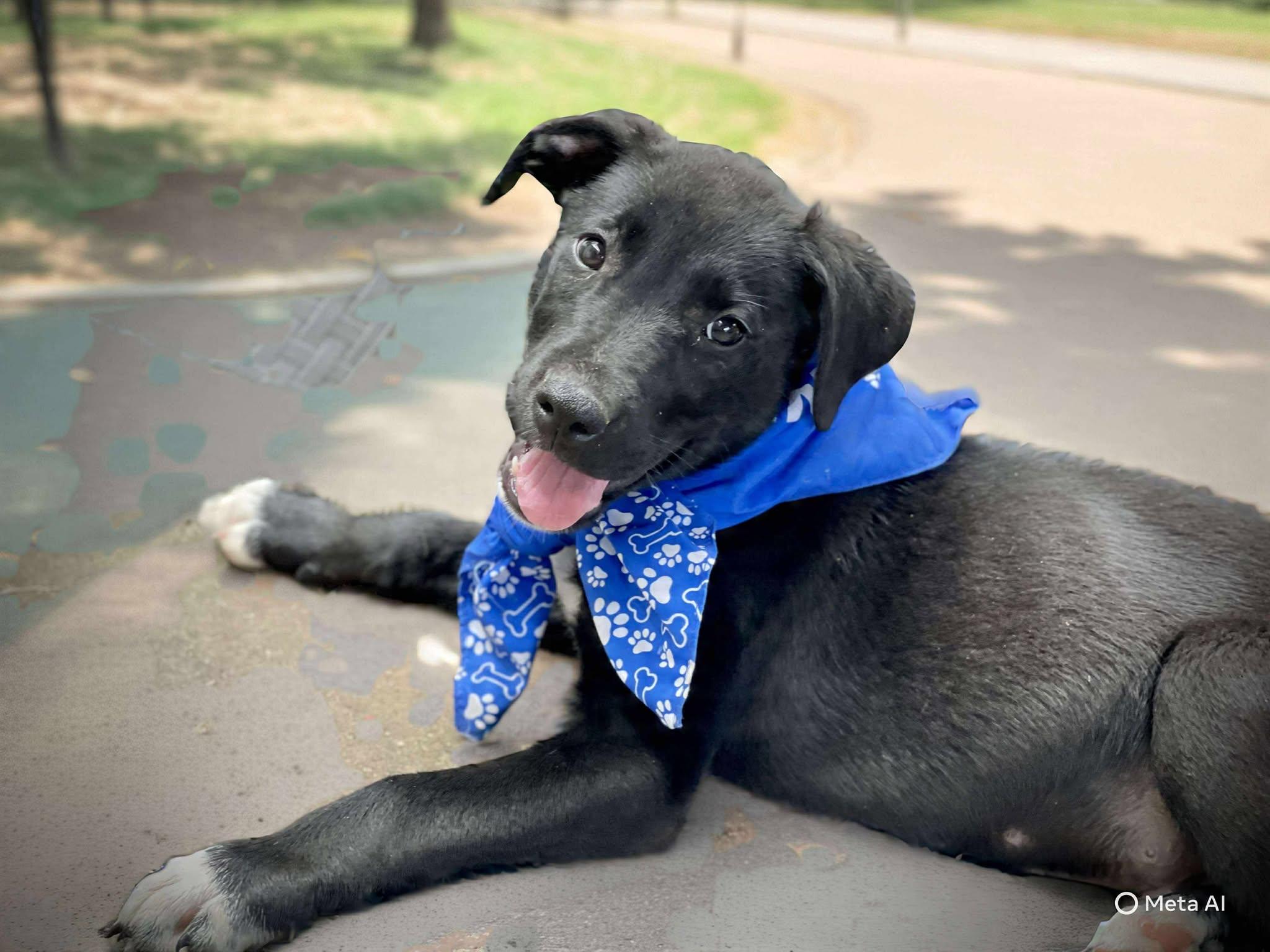 Jamie *HERE IN NH* 3