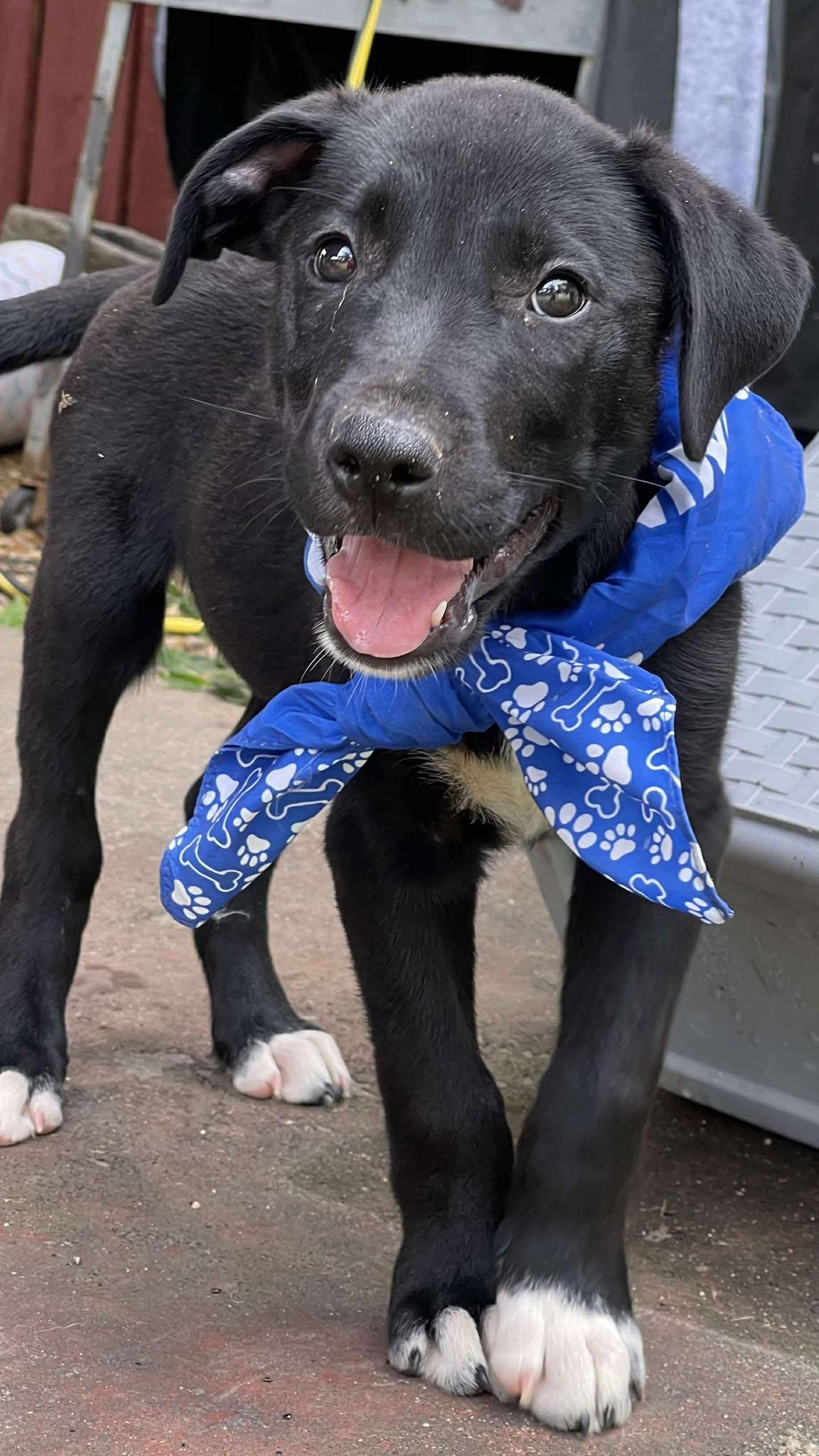 Jamie *HERE IN NH* 6