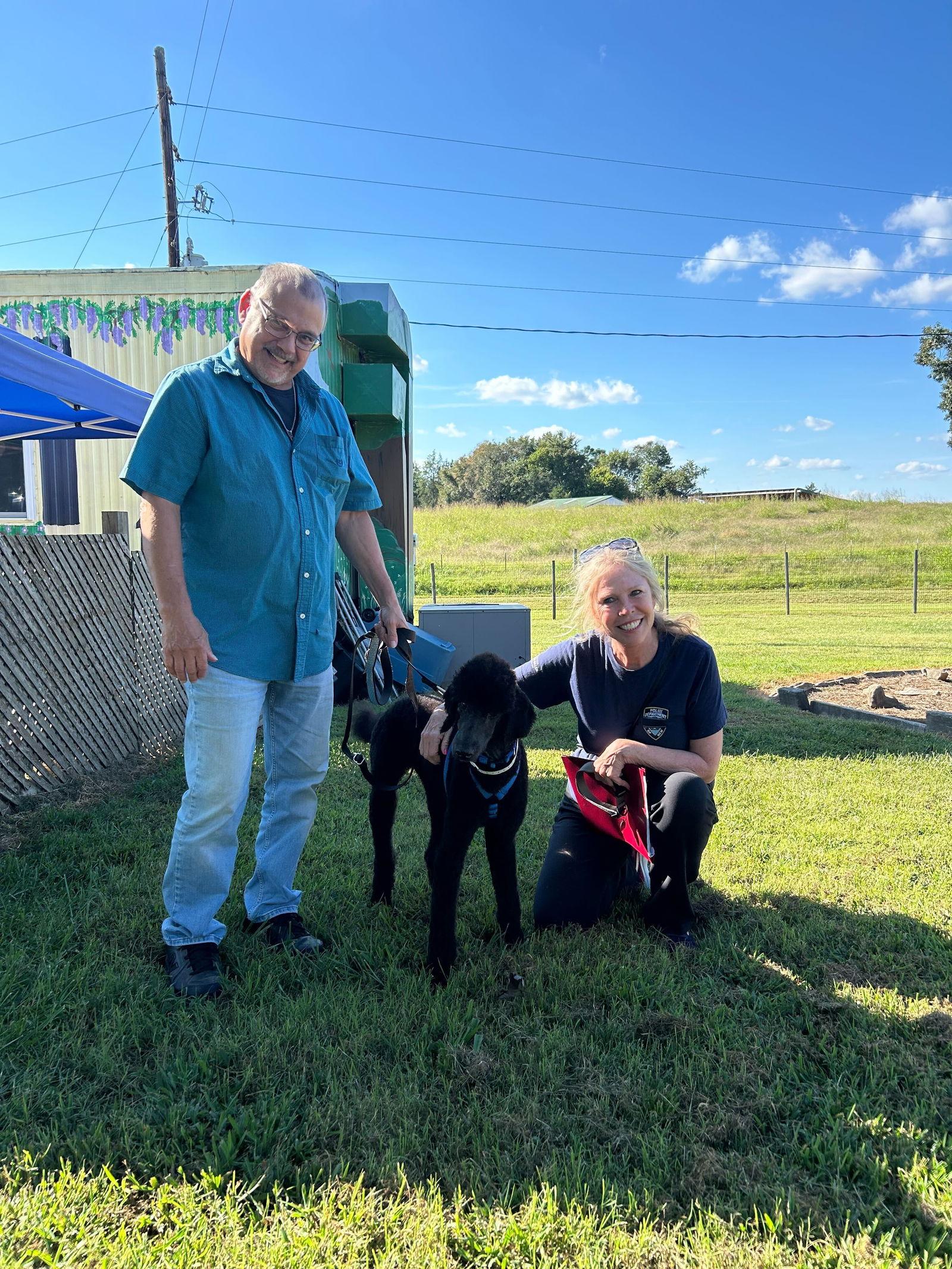 Arlo Aug 25, a Adopted Standard Poodle in Pacolet, SC image 3/3