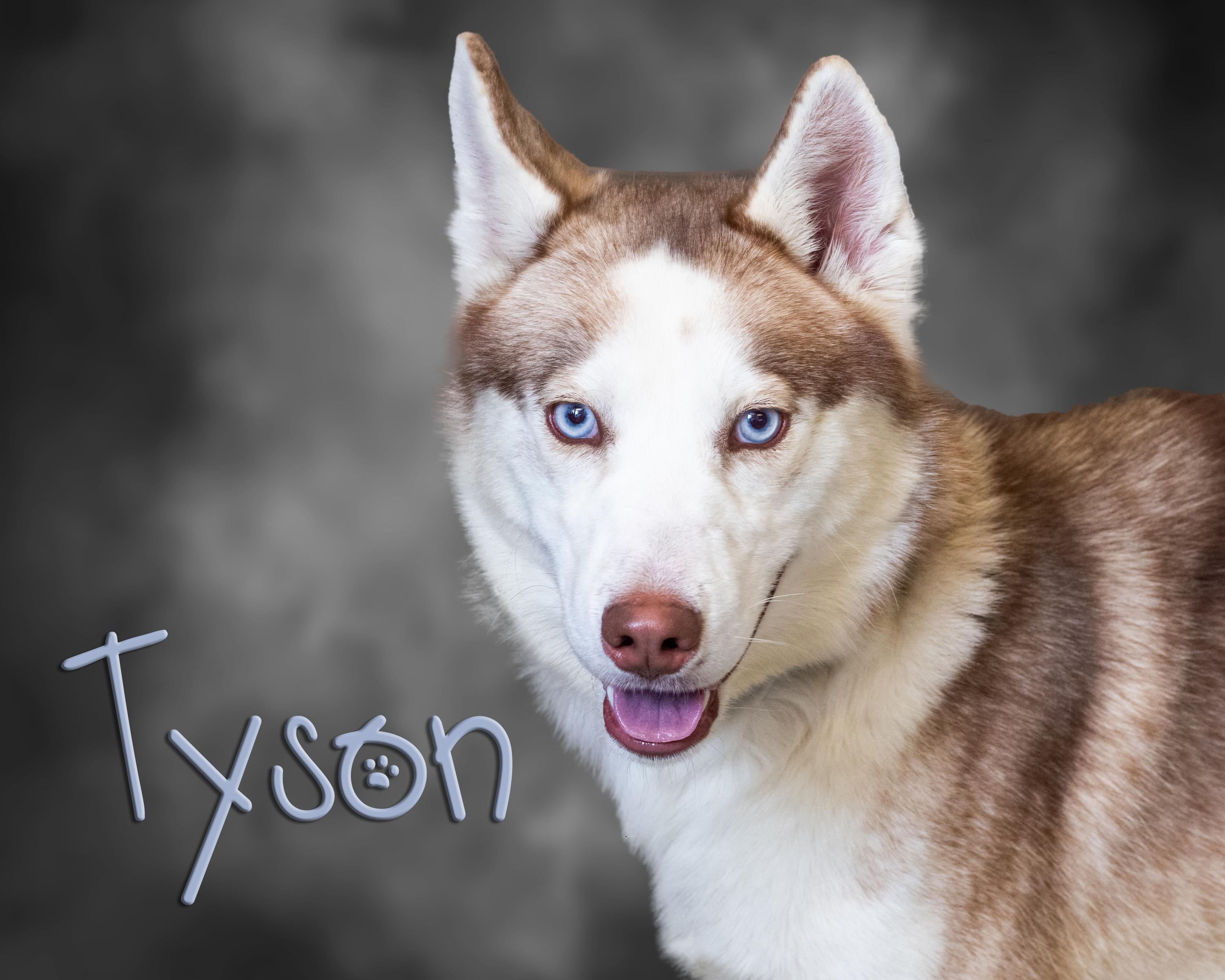 Tyson