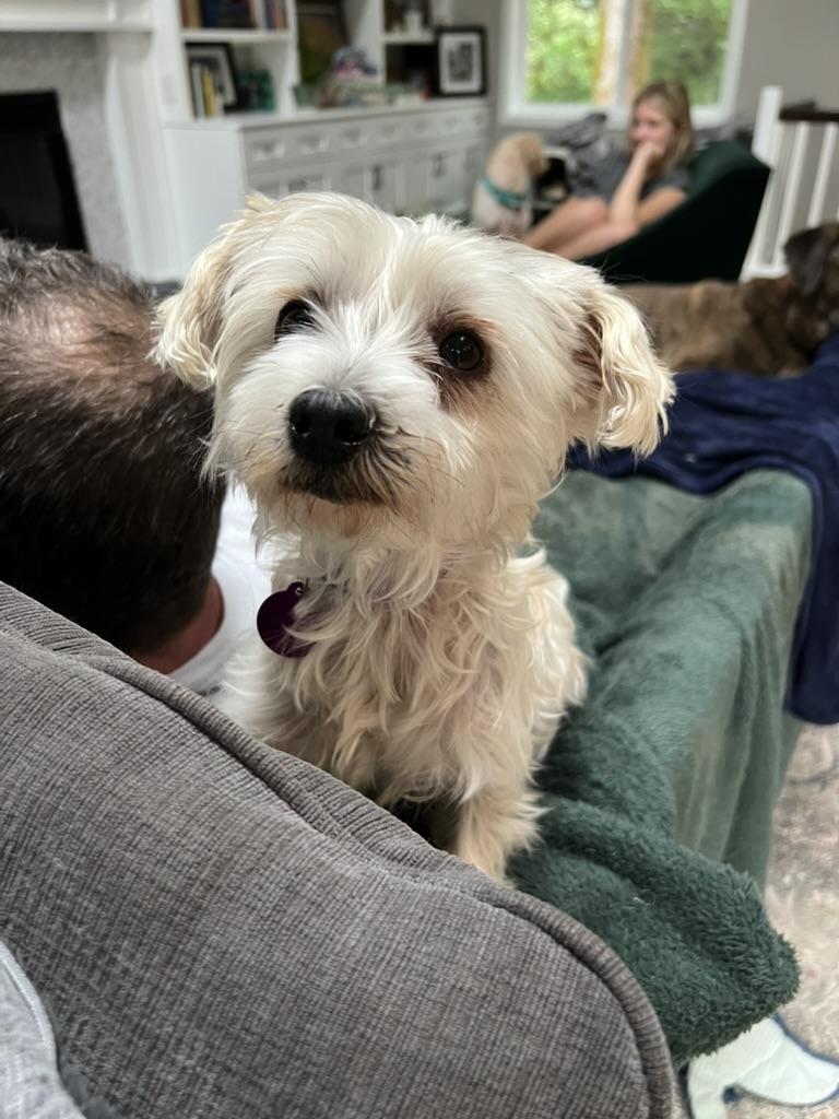 Ramona