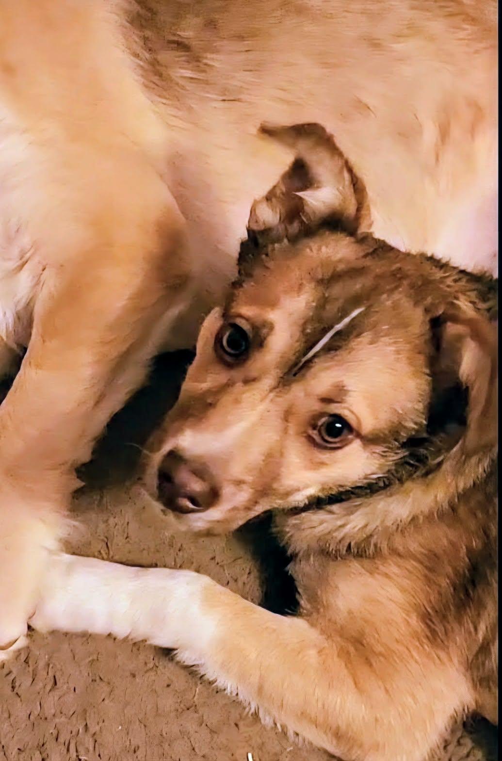 Josh (20260119-08) — thumbnail 3