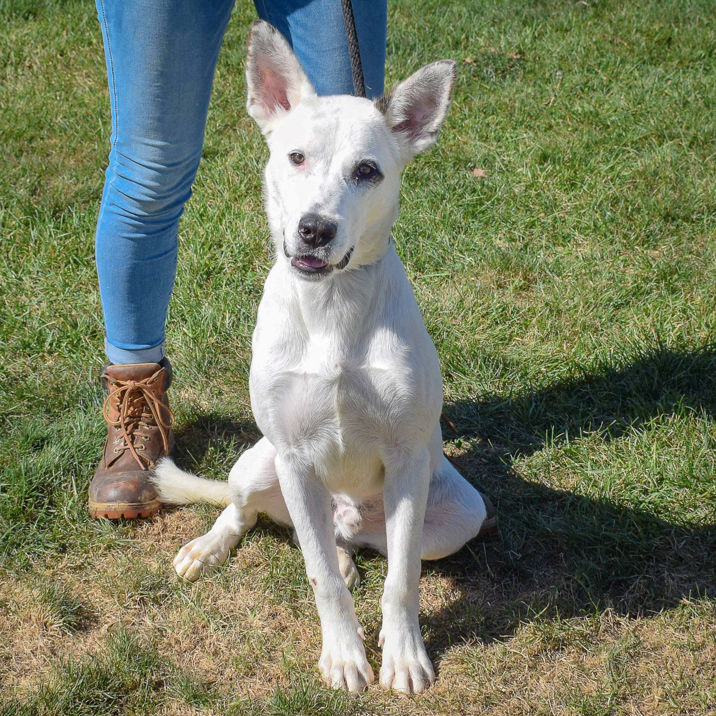 Casper photo 3