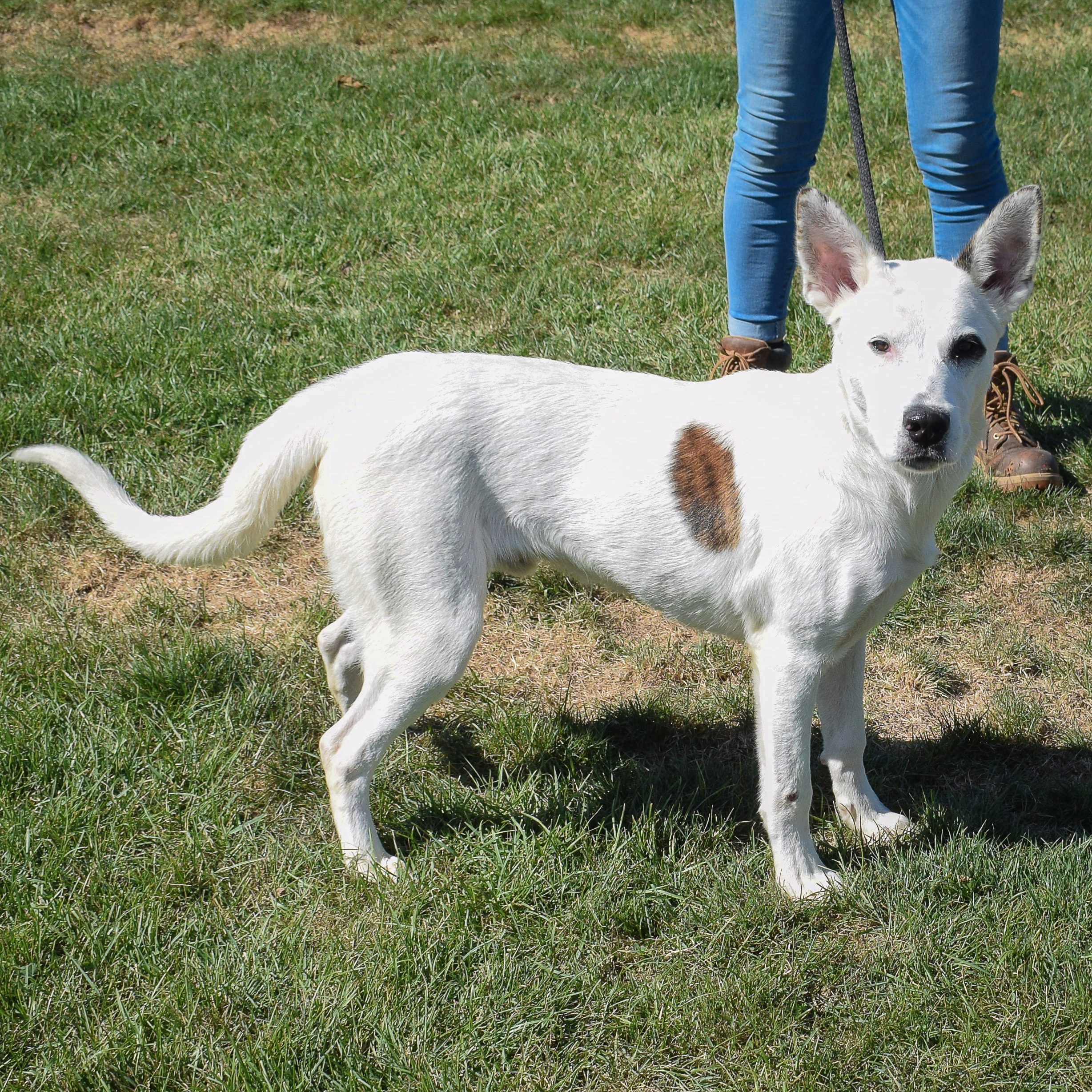Casper photo 2