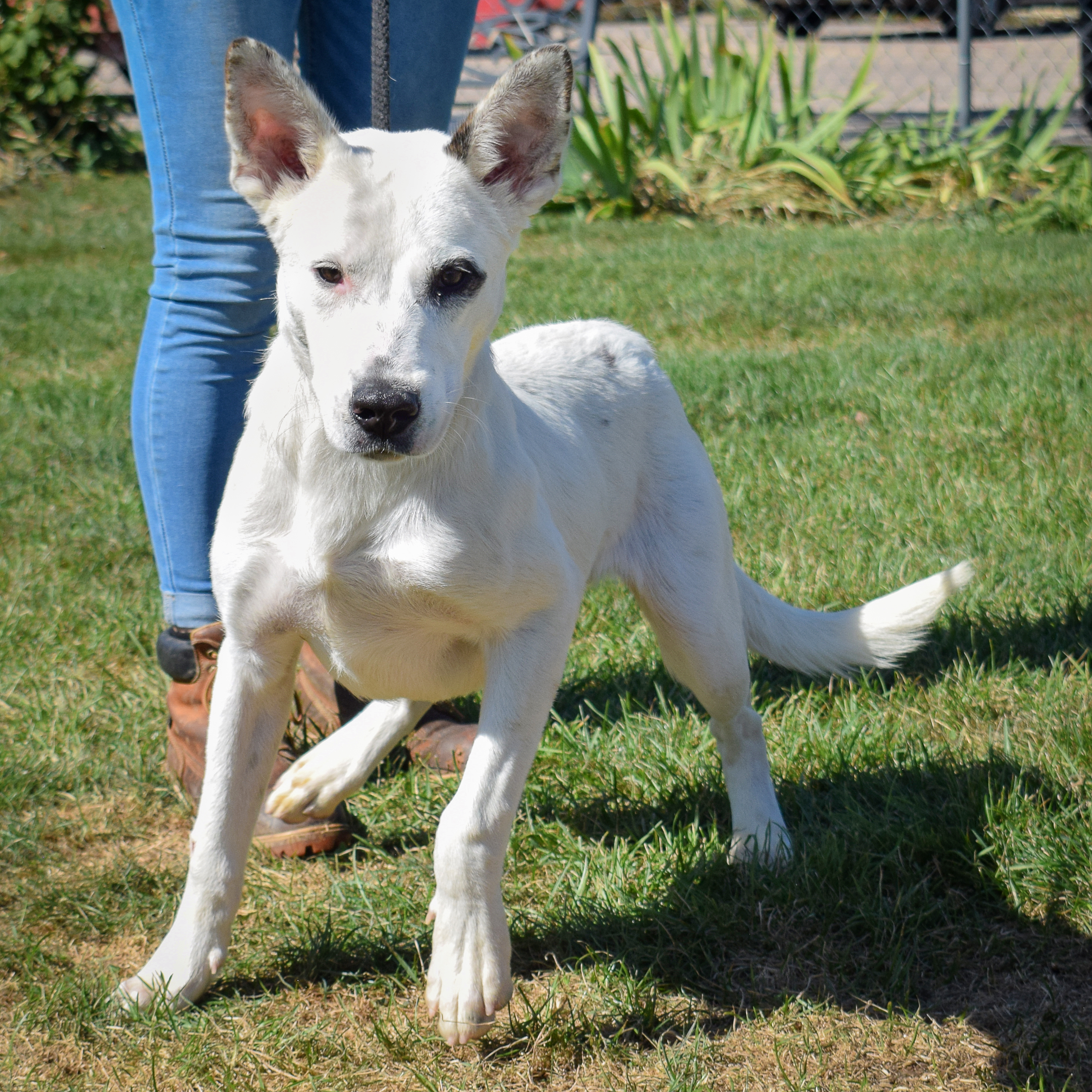 Casper photo 4