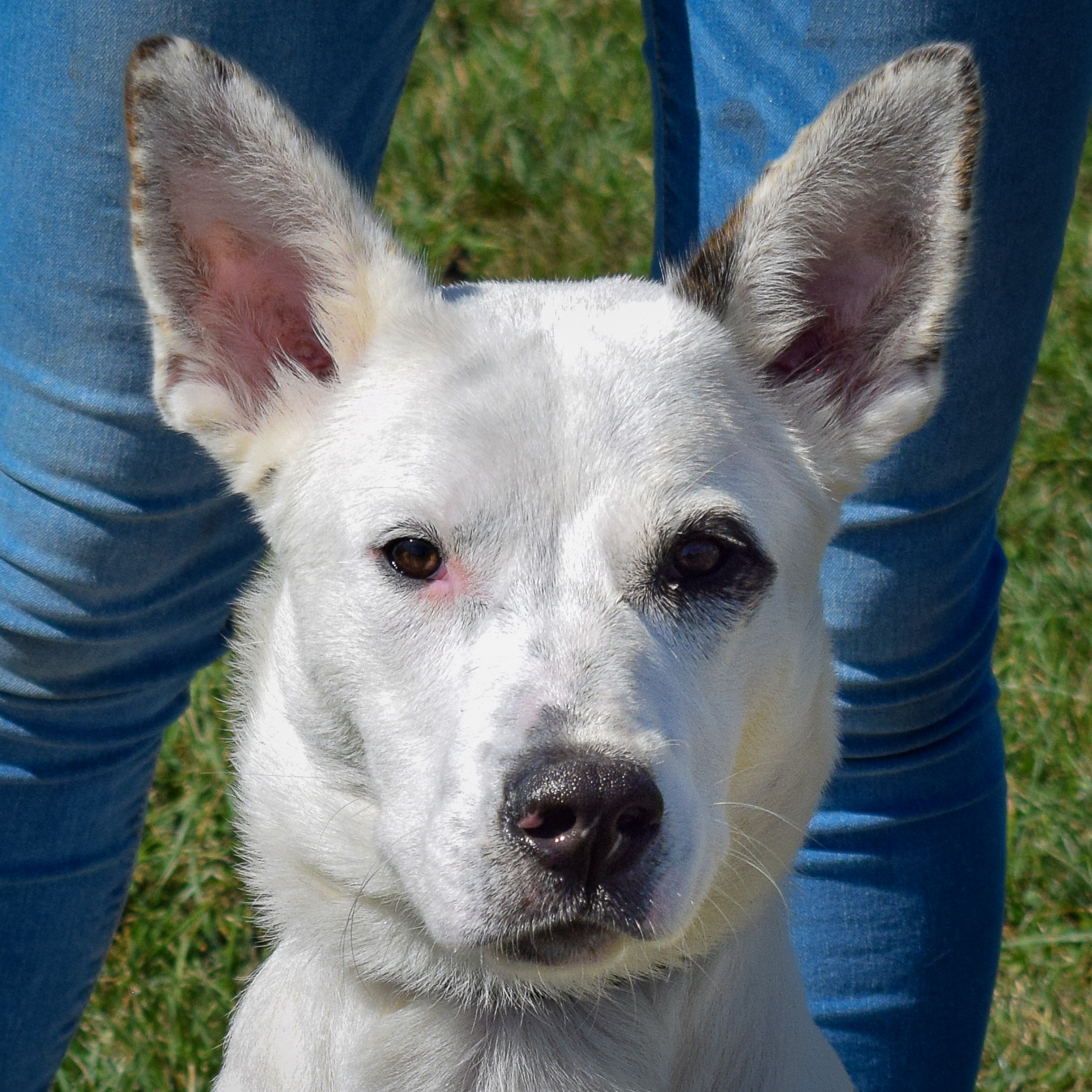 Casper photo 1