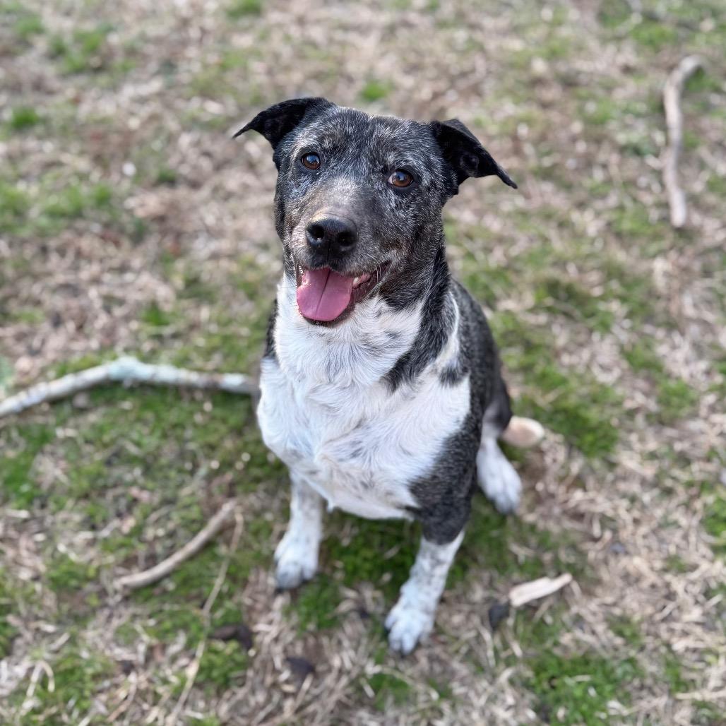 Sienna — thumbnail 2