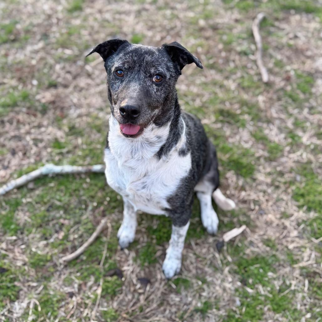 Sienna — thumbnail 4