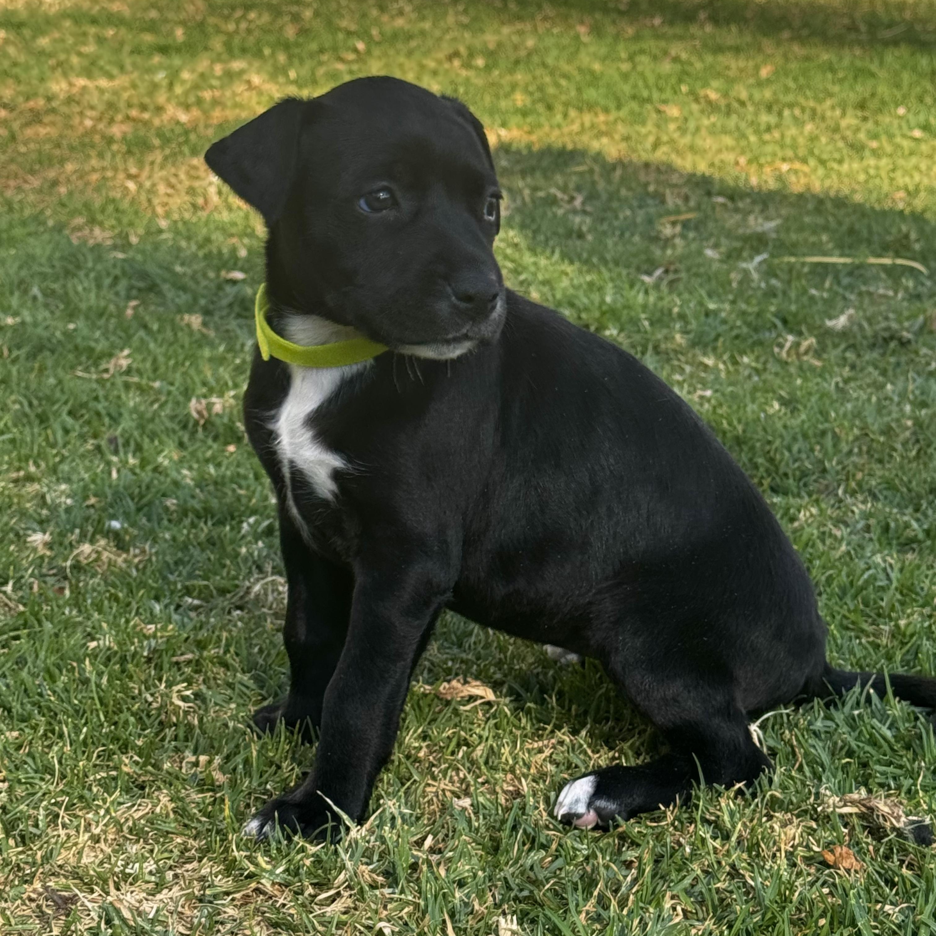 Susan — thumbnail 2