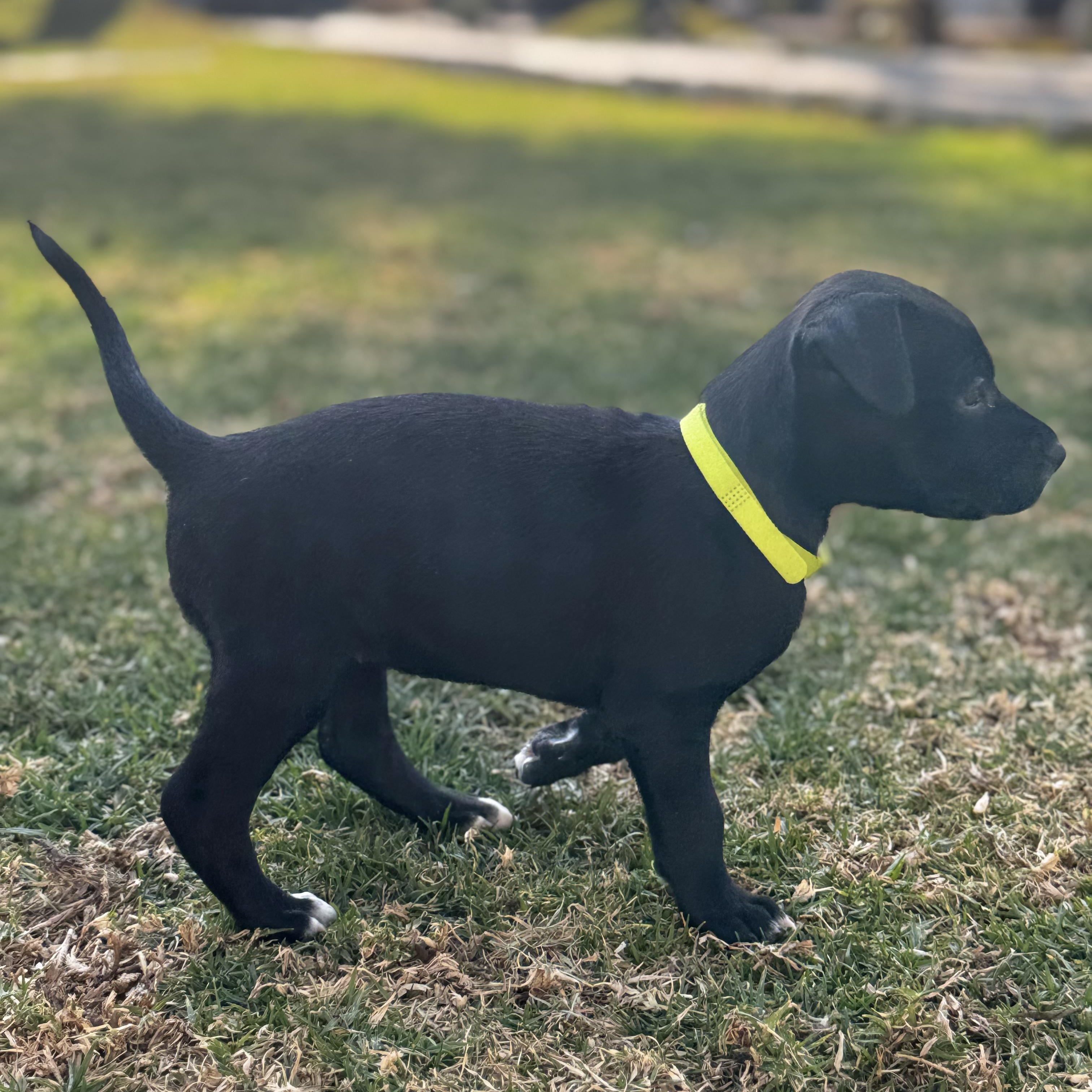 Susan — thumbnail 3