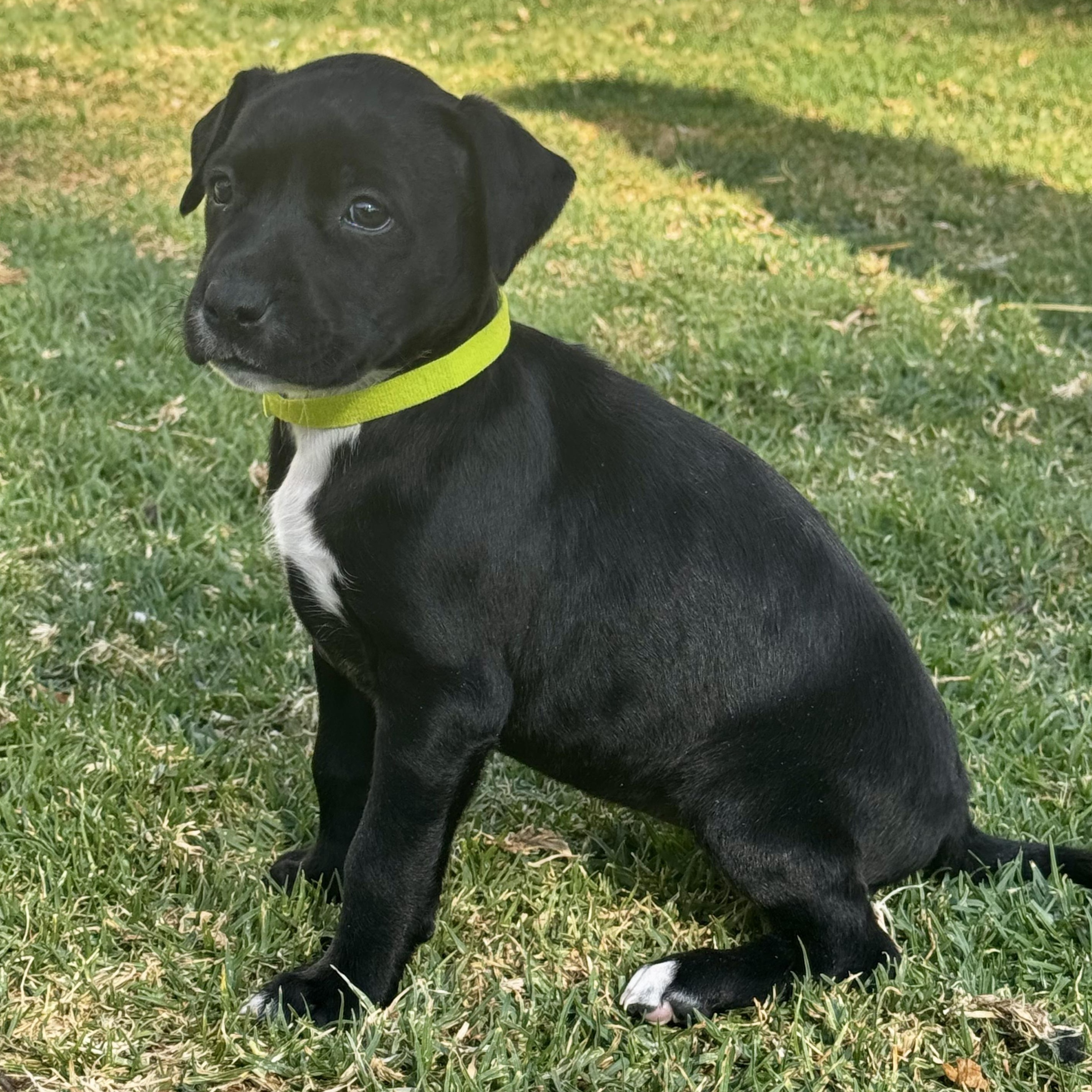 Susan — thumbnail 5