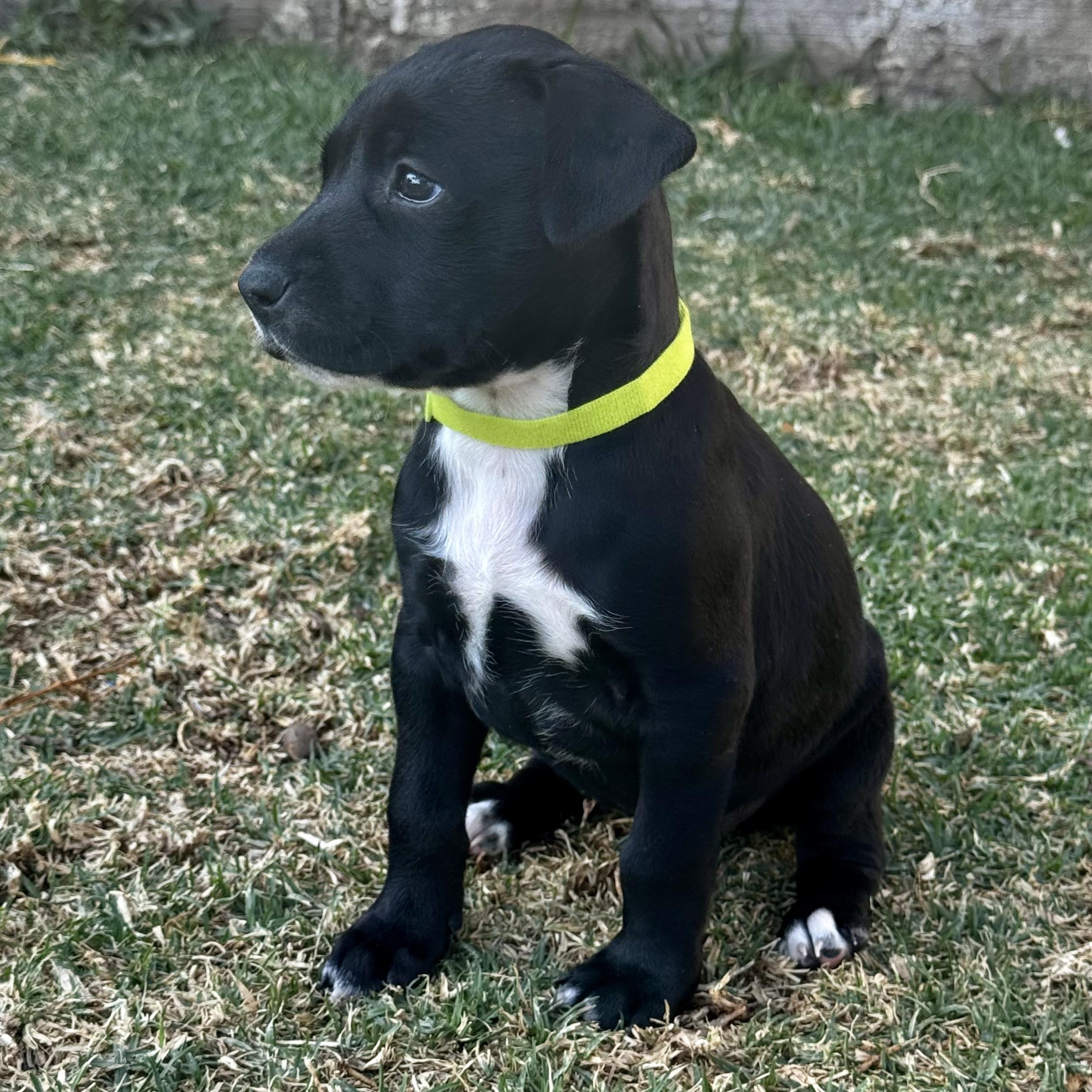 Susan — thumbnail 6