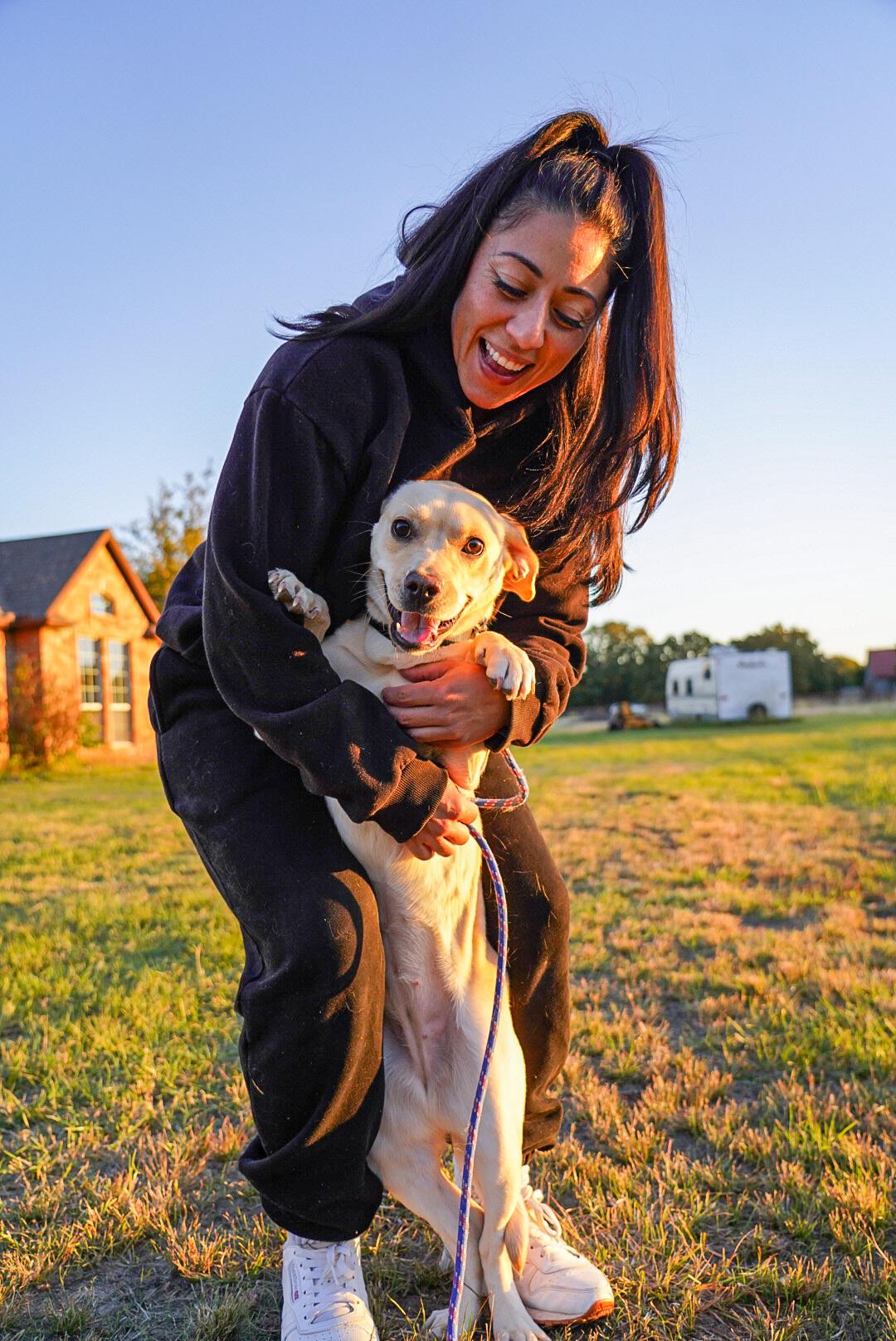 Enlarge Maddie, a ADOPTABLE mixed breed in Mckinney, TX image 5/5