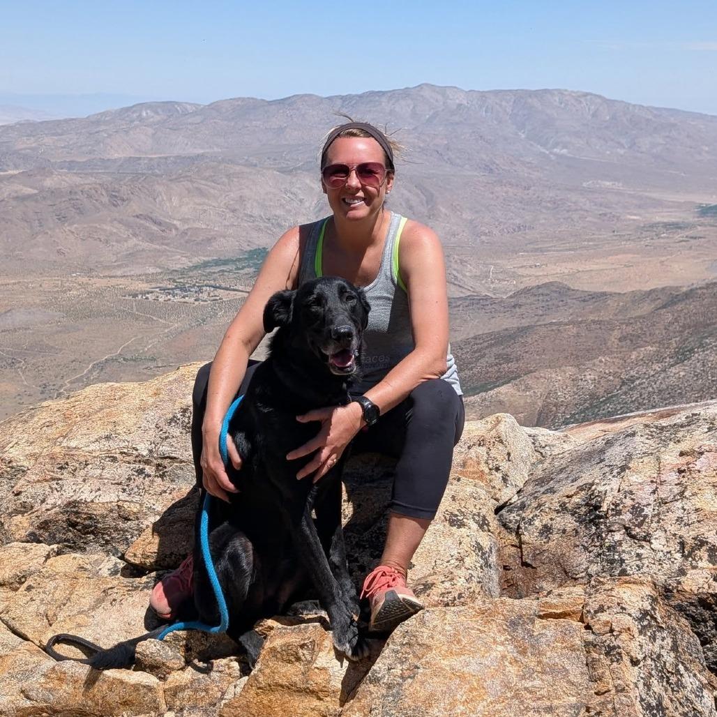 Tanner, a Adoptable Black Labrador Retriever in Silver Spring, MD image 3/6