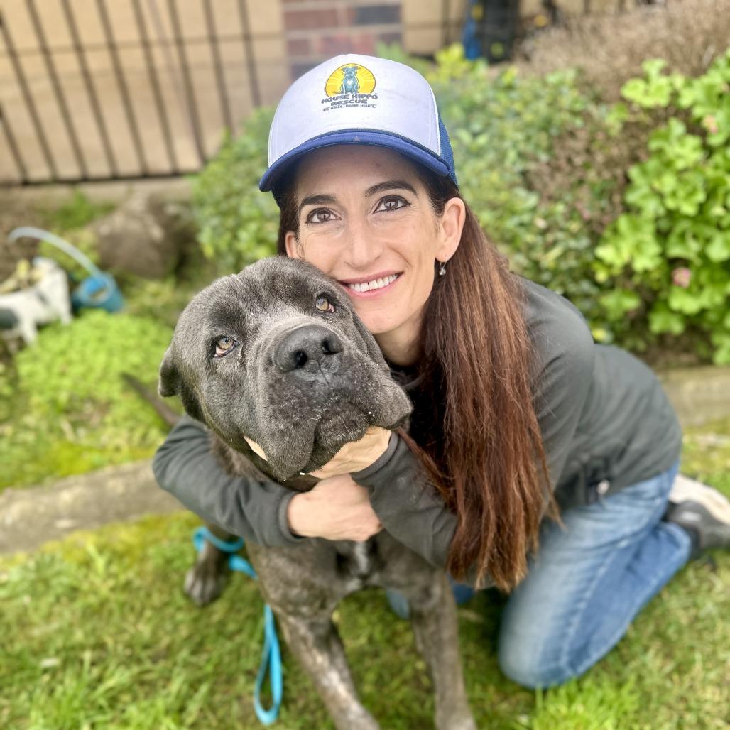 Enlarge Romeo, a Adoptable mixed breed in Sacramento, CA image 2/5