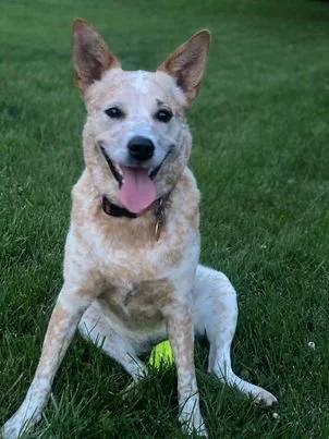 Cora — thumbnail 5