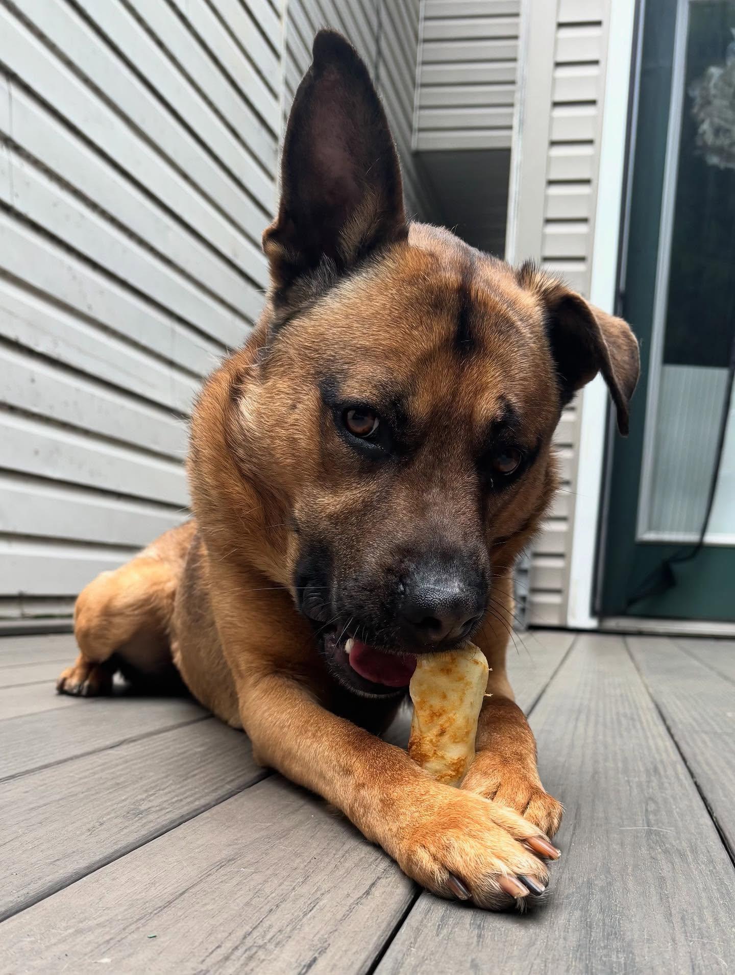 Bob Ross thumbnail 5