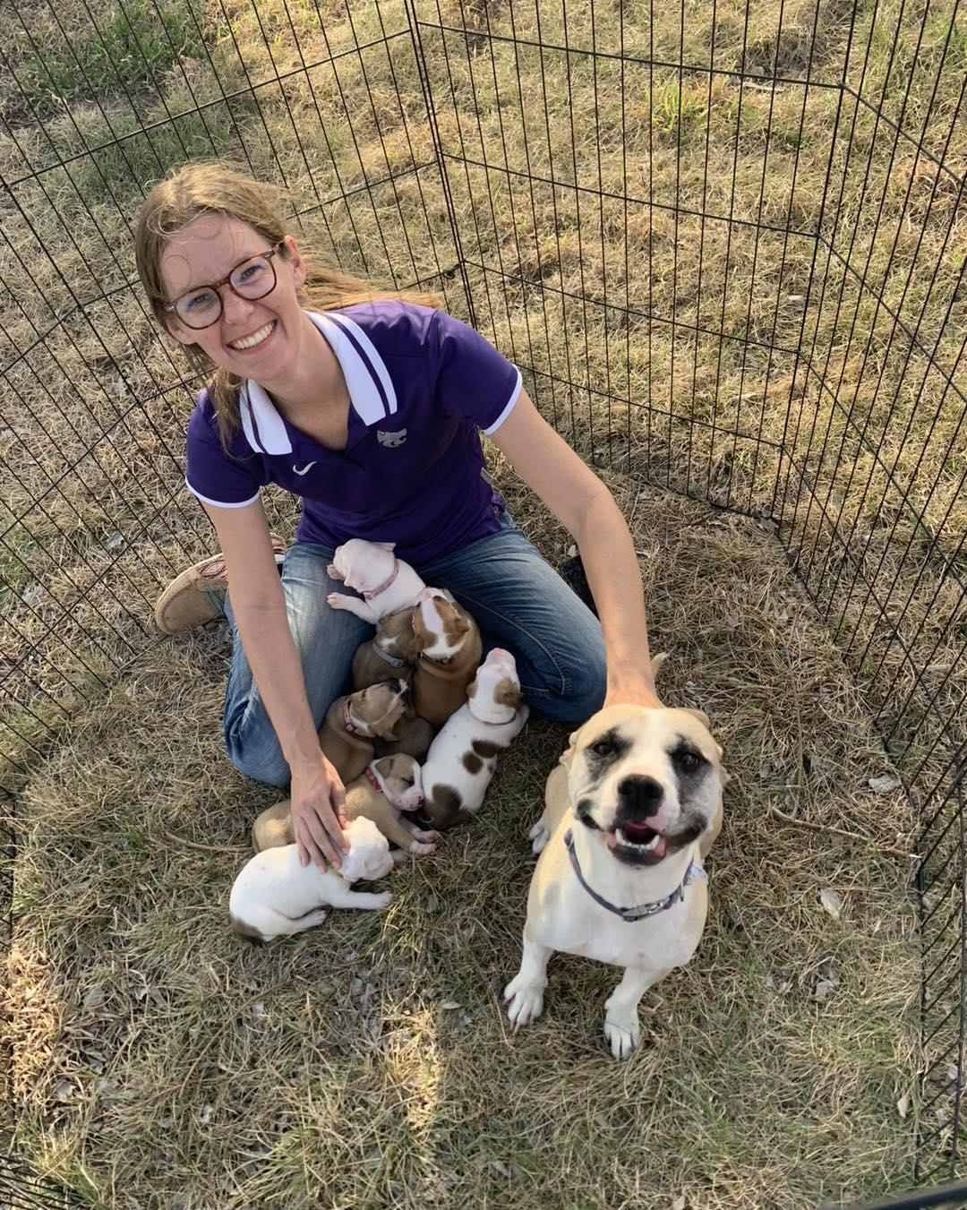 Emma, a ADOPTABLE mixed breed in Manhattan, KS image 4/6