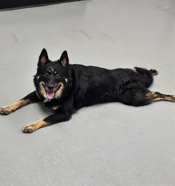 Pistachio thumbnail 2