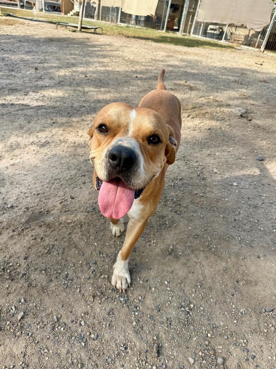 Cruz — thumbnail 2