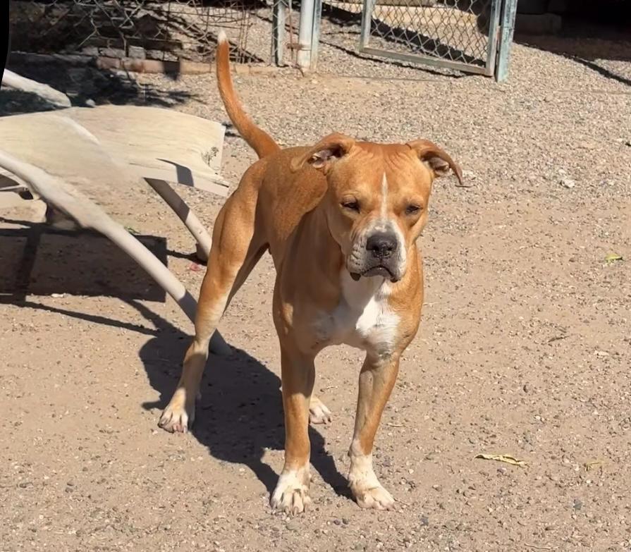 Cruz — thumbnail 3