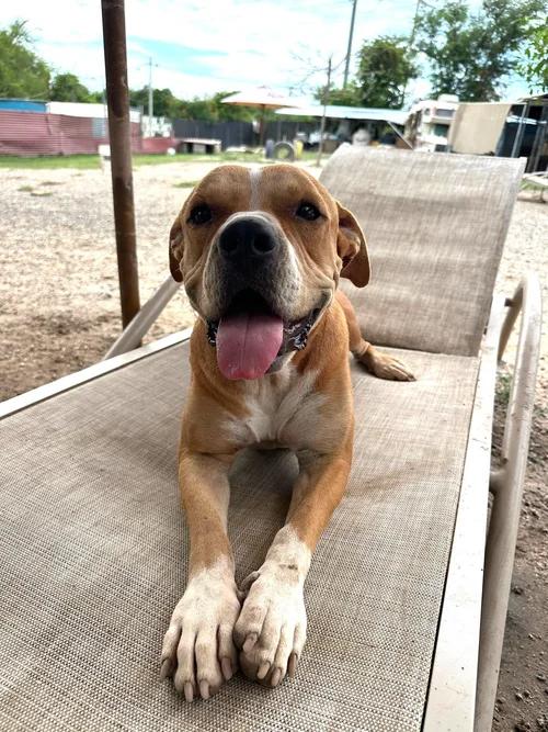 Cruz — thumbnail 5