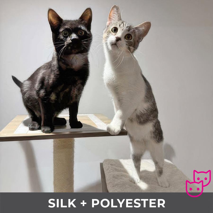 Polyester (bonded with Silk)