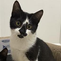 Spark — thumbnail 3