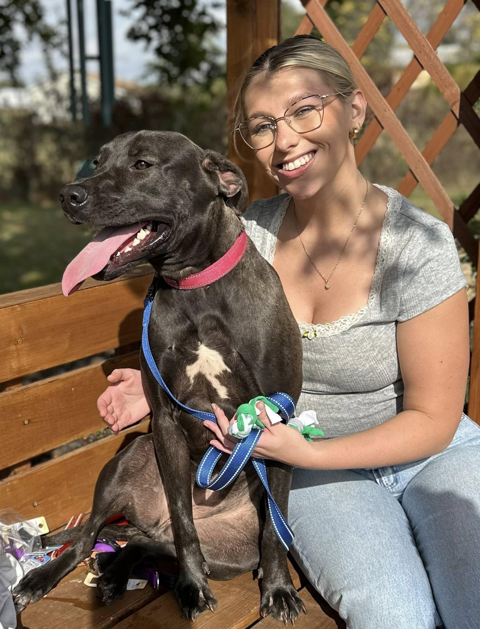 Yang $95, a Adoptable mixed breed in Seneca, SC image 1/5