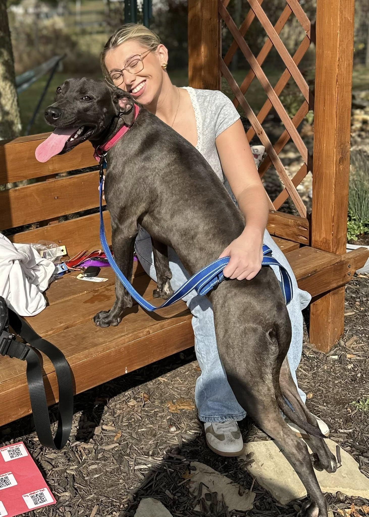 Yang $95, a Adoptable mixed breed in Seneca, SC image 2/5