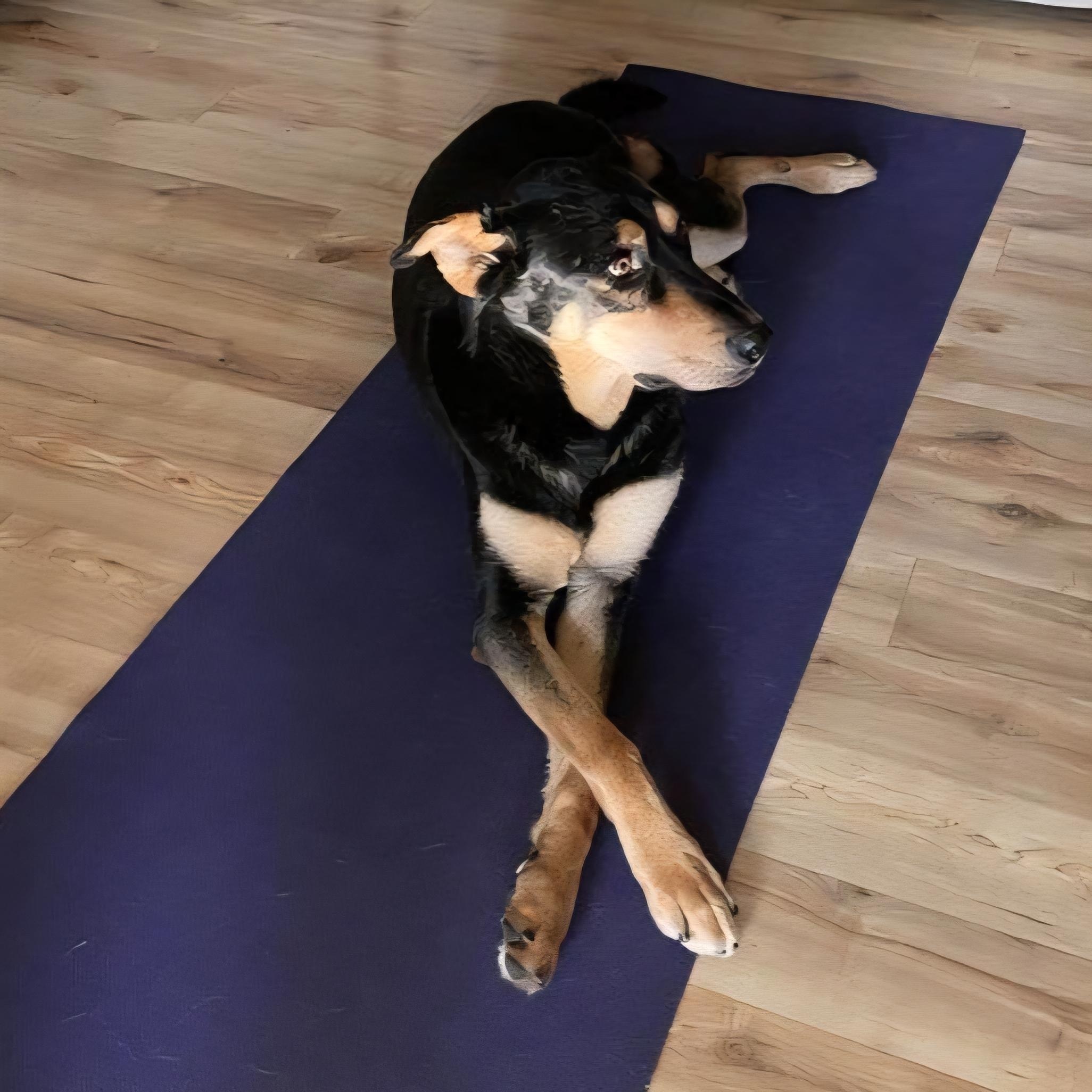 Hunter - Loving, Personable Guy!