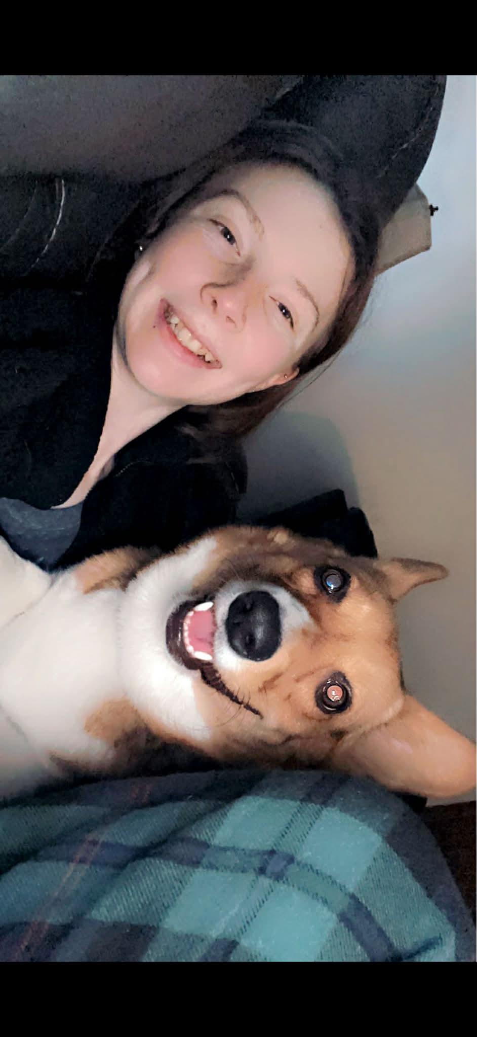 Enlarge Smore, a ADOPTABLE Corgi in Alliance, OH image 2/3