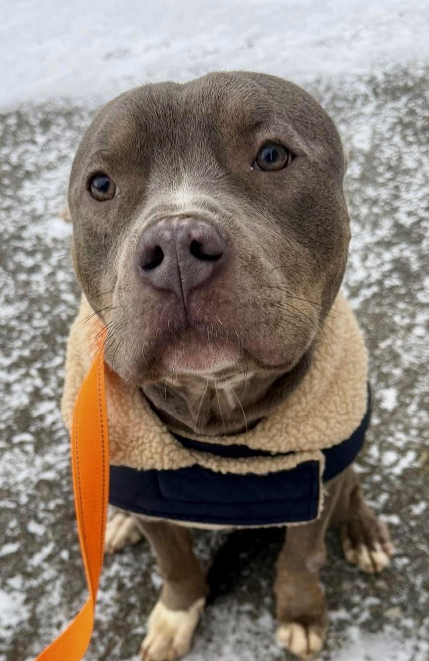 Felix — thumbnail 5