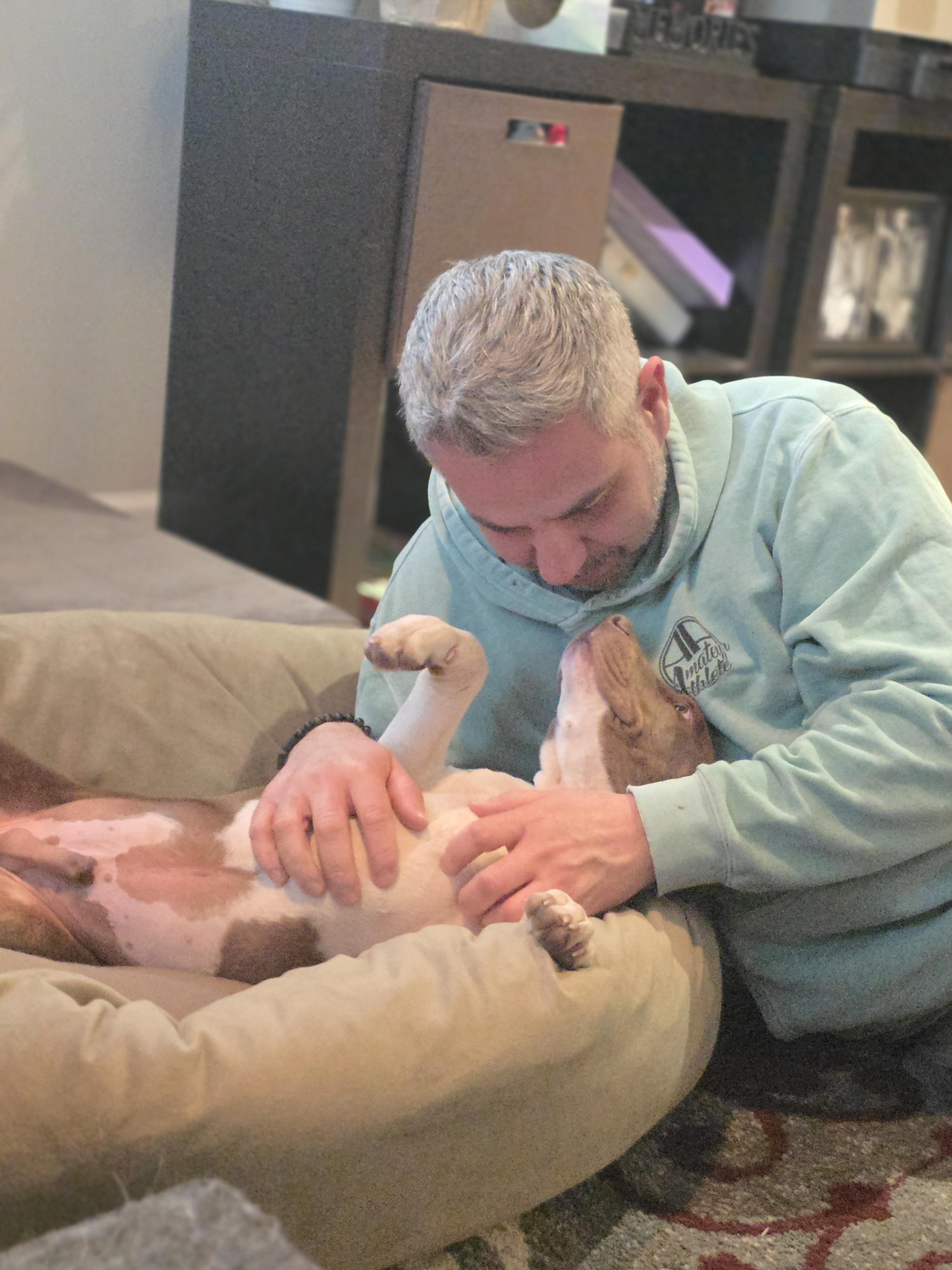 Enlarge Rivian, an adopted mixed breed in Blue Bell, PA image 2/5