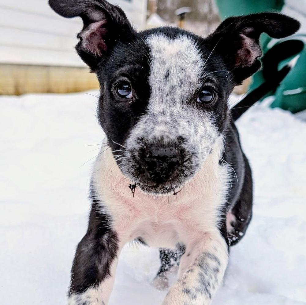 Elena — thumbnail 6