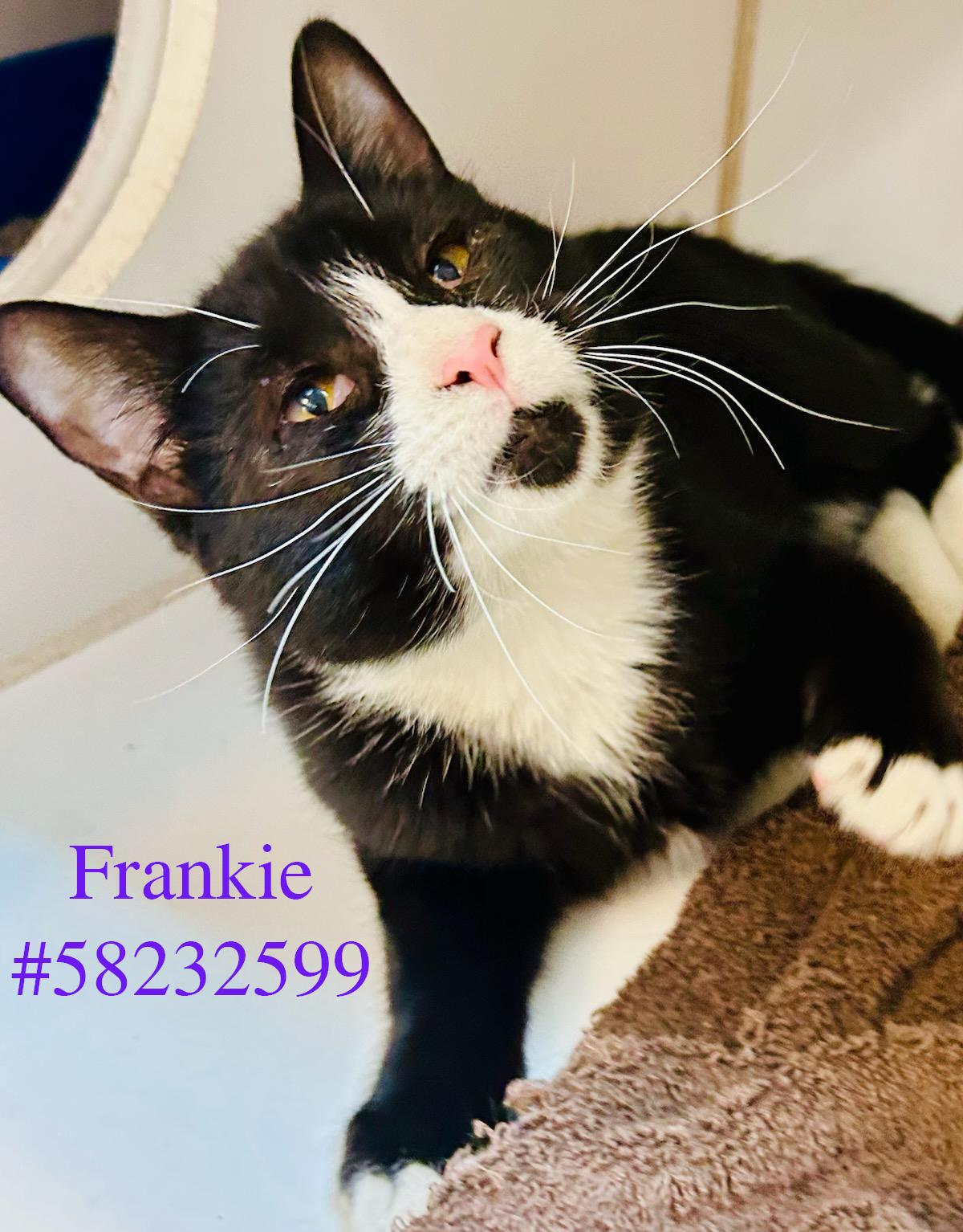 Frankie