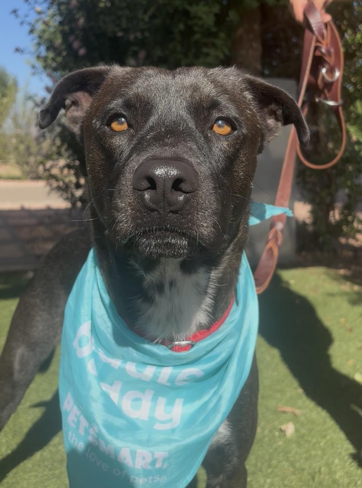 Ruger
