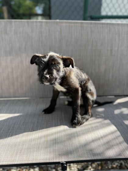 Tucker Dean — thumbnail 2