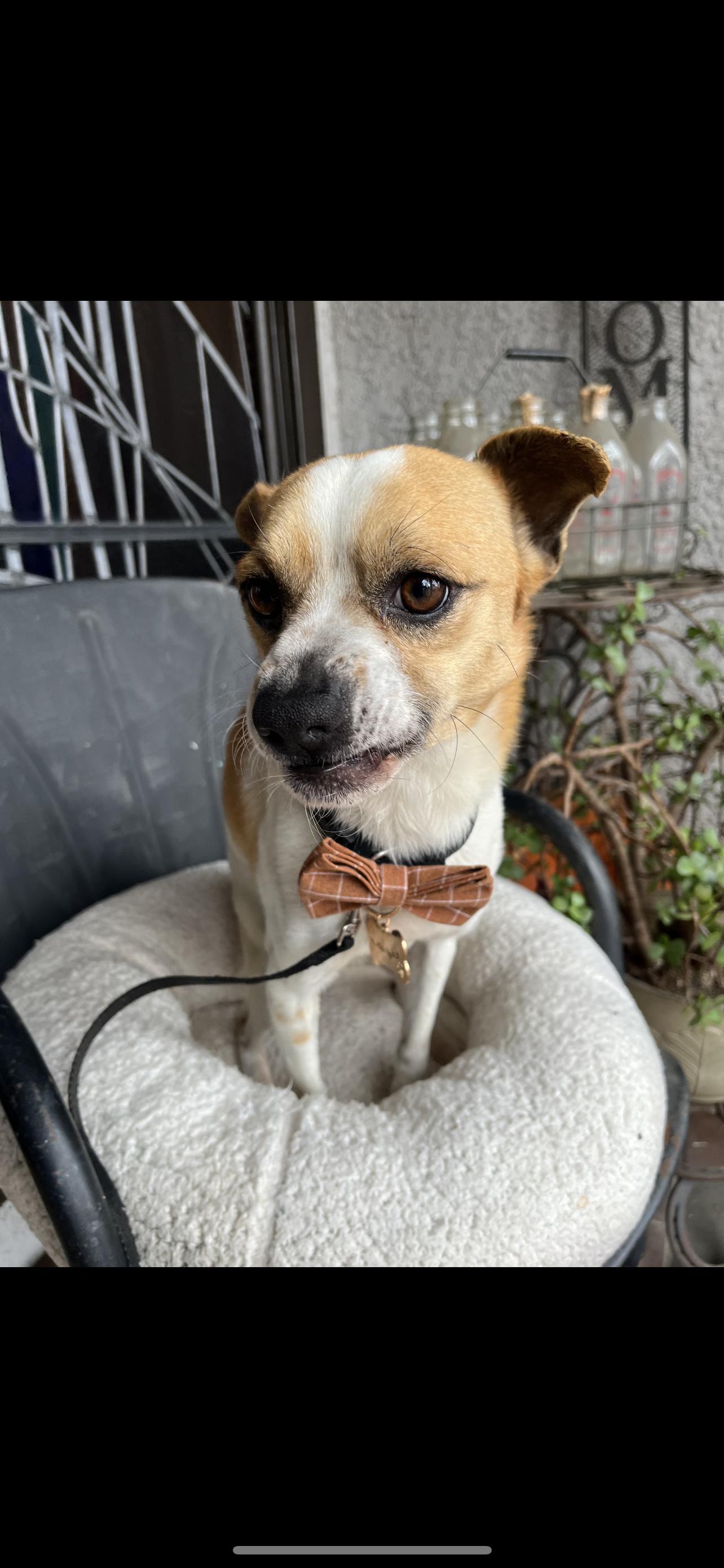 Buster - The Quiet Little Boy photo 2