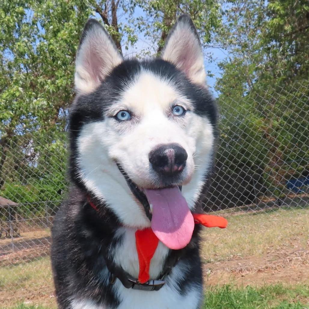 Maverick photo