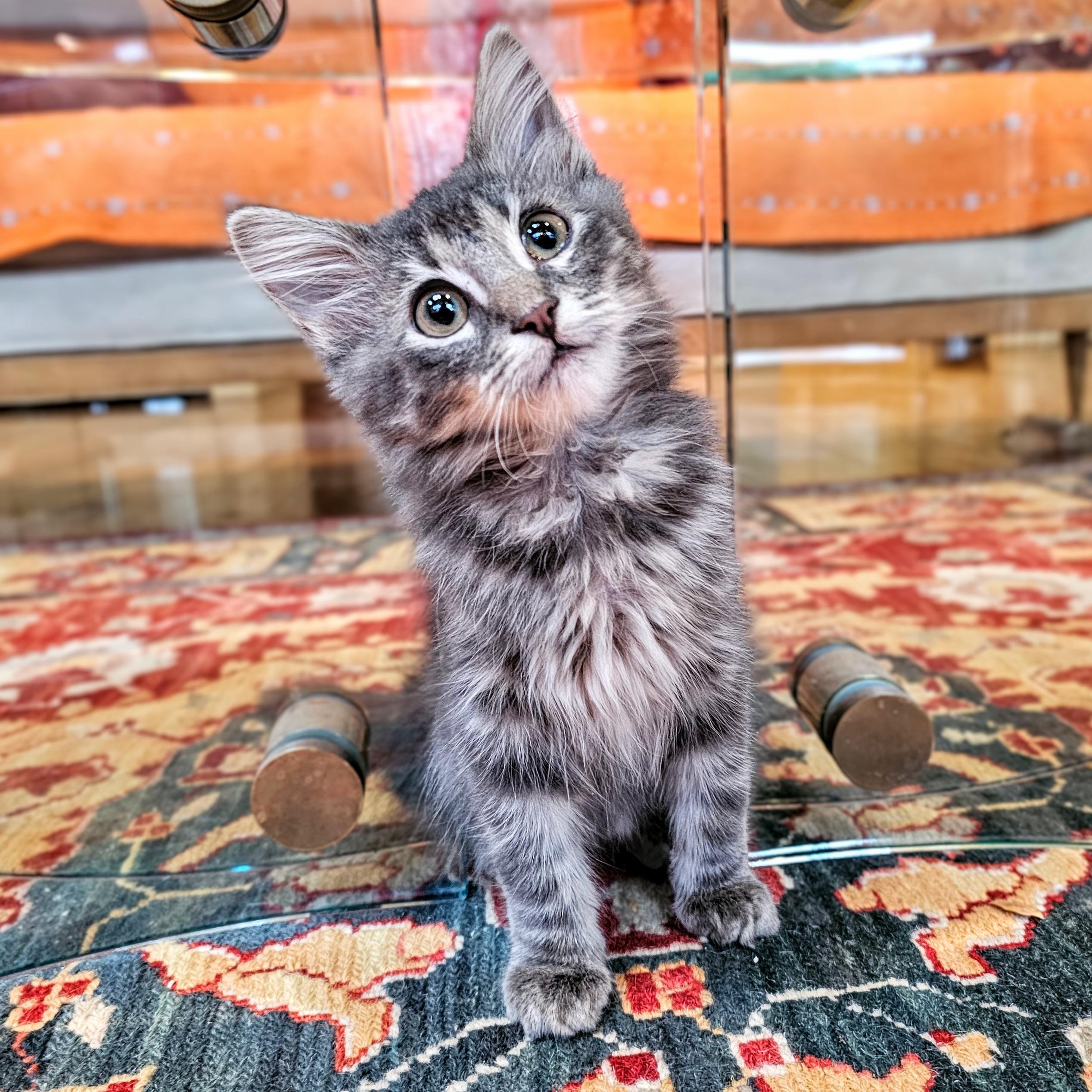 Lunchable thumbnail 2