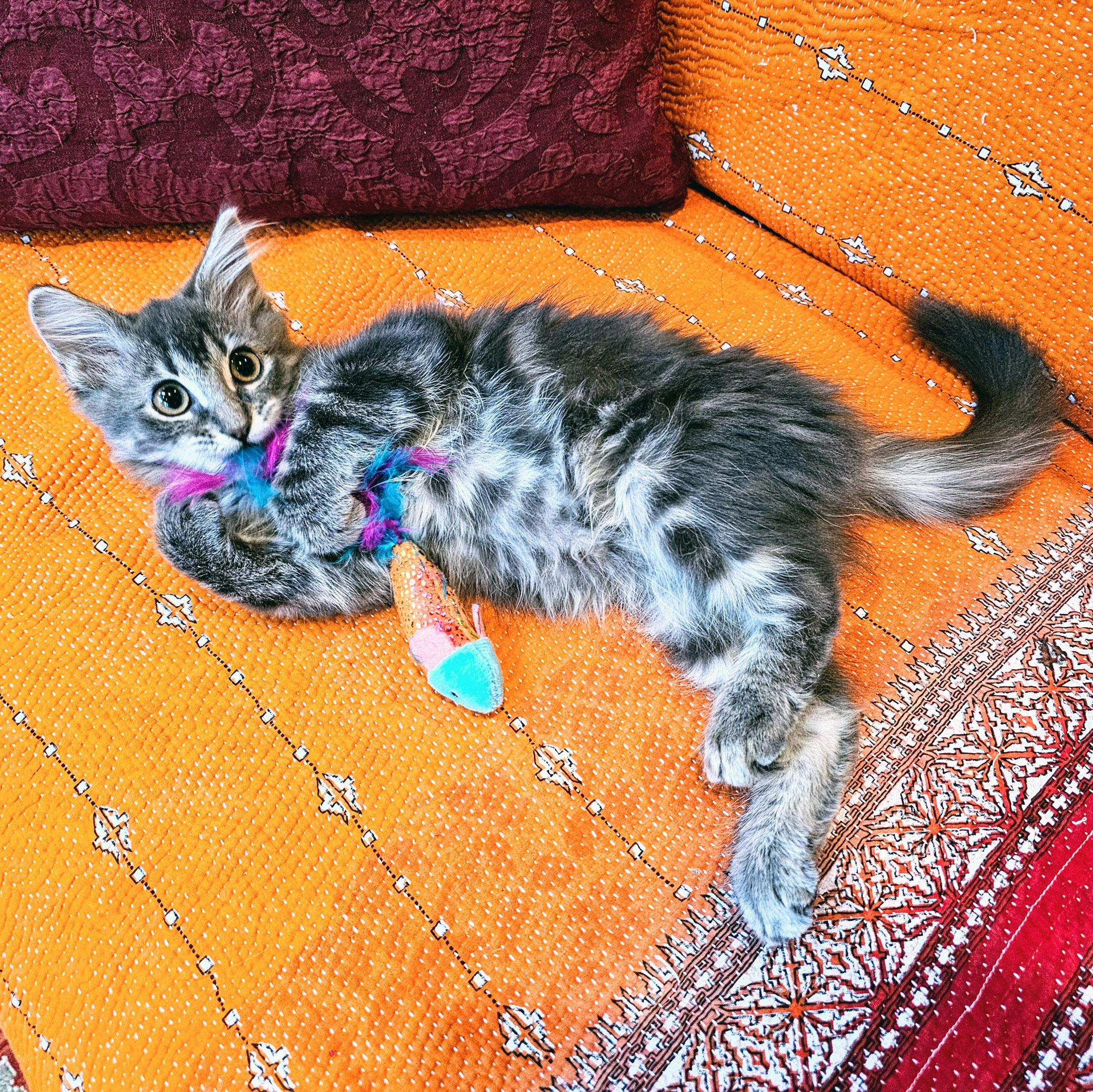 Lunchable thumbnail 3