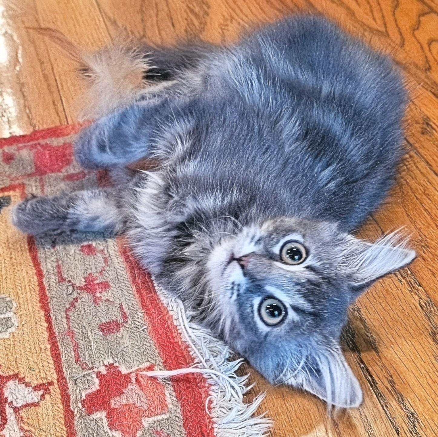 Lunchable thumbnail 4