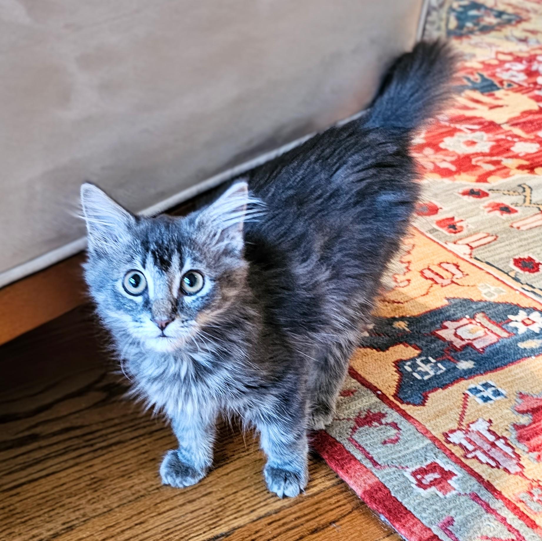 Lunchable thumbnail 5